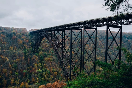 Discovering Fayetteville, NC: An Introduction to the City's Vibrant Culture and Weather