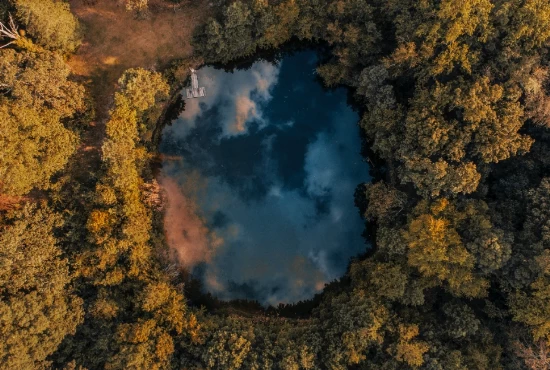 Escape the City: Exciting Road Trips from Fayetteville, NC
